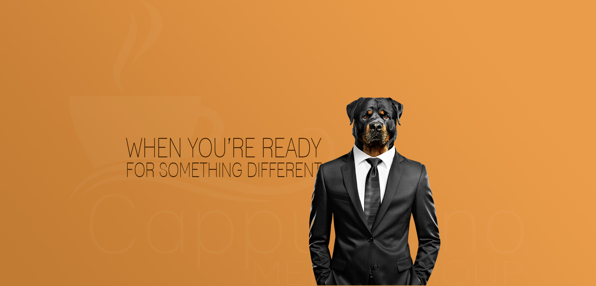 CMG Website Header Beta 1